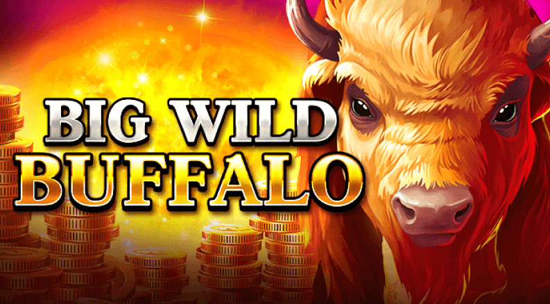 big wild buffalo slot